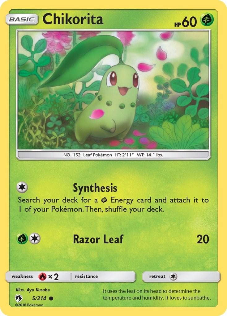 Chikorita (5)